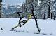 Ski Bike SkiByk SB200 All-Mountain, SnowBike, SkiBike
